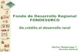 Fondo de Desarrollo Regional FONDESURCO Da crédito al desarrollo rural Héctor Madariaga T. Gerente General.