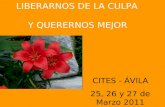 LIBERARNOS DE LA CULPA Y QUERERNOS MEJOR CITES - ÁVILA 25, 26 y 27 de Marzo 2011.