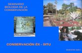 SEMINARIO BIOLOGIA DE LA CONSERVACIÓN SEMESTRE 2009-1 CONSERVACIÓN EX - SITU.
