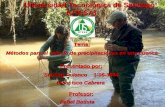 Universidad Tecnológica de Santiago (UTESA) Tema: Métodos para el calculo de precipitaciones en una cuenca Presentado por: Starling Polanco 1-05-3844 Francisco.
