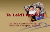 Te Lekil Kuxlejal La Vida Abundante en Los Altos de Chiapas, México.