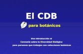 El CDB para botánicos Una introducción al Convenio sobre la Diversidad Biológica para personas que trabajan con colecciones botánicas.