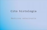Cito histología II 09.ppt