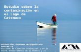 Universidad Autónoma Metropolitana- Xochimilco División de Ciencias Biológicas y de la Salud. Departamento de El Hombre y su Ambiente. Licenciatura en.