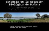 Estancia en la Estación Biológica de Doñana Texto y fotos: Miguel Ángel Andrés Fotografía espátula y garceta grande : Fernando Guerrero Andrés Madre de.