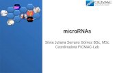 MicroRNAs microRNAs Silvia Juliana Serrano Gómez BSc, MSc Coordinadora FICMAC-Lab.