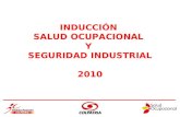 INDUCCIÓN SALUD OCUPACIONAL Y SEGURIDAD INDUSTRIAL 2010.