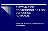 SISTEMAS DE PROTECCIÓN DE LOS DERECHOS HUMANOS Unidad 2 - Derechos Fundamentales UNAS 2010.