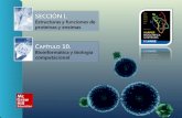 SECCIÓN I. Estructuras y funciones de proteínas y enzimas C APÍTULO 10. Bioinformática y biología computacional.