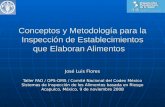 Conceptos y Metodología para la Inspección de Establecimientos que Elaboran Alimentos José Luis Flores Taller FAO / OPS-OMS / Comité Nacional del Codex.
