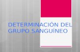 DETERMINACIÓN DEL GRUPO SANGUÍNEO 1.pptx