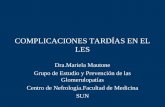 COMPLICACIONES TARDÍAS EN EL LES Dra.Mariela Mautone Grupo de Estudio y Prevención de las Glomerulopatías Centro de Nefrología.Facultad de Medicina SUN.