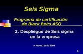 1 Seis Sigma Programa de certificación de Black Belts ASQ 2. Despliegue de Seis sigma en la empresa P. Reyes / Junio 2004.