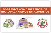 SOBREVIVENCIA / PRESENCIA DE MICROORGANISMOS EN ALIMENTOS.