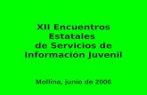 XII Encuentros Estatales de Servicios de Información Juvenil Mollina, junio de 2006.