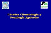 Cátedra Climatología y Fenología Agrícolas. DETERMINACIÓN DE LA EVAPOTRANSPIRACIÓN POTENCIAL POR EL MÉTODO DE PAPADAKIS.