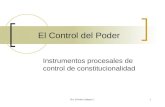 Dra. Eréndira Salgado L.1 El Control del Poder Instrumentos procesales de control de constitucionalidad.