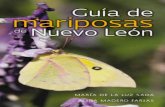 109600204 Guia de Mariposas de Nuevo Leon