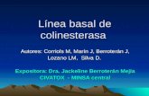 Línea basal de colinesterasa Autores: Corriols M, Marín J, Berroterán J, Lozano LM, Silva D. Expositora: Dra. Jackeline Berroterán Mejía CIVATOX - MINSA.