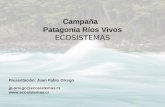 Campaña Patagonia Ríos Vivos ECOSISTEMAS Presentación: Juan Pablo Orrego jp.orrego@ecosistemas.cl .