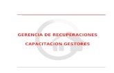 GERENCIA DE RECUPERACIONES CAPACITACION GESTORES.