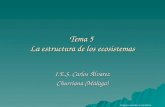 Tema 5 La estructura de los ecosistemas I.E.S. Carlos Álvarez Churriana (Málaga) Imágenes tomadas de Santillana.