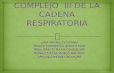 Complejo III de La Cadena Respiratoria