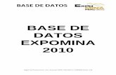 Base de Datos Expomina 2010 PDF