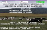 SECRETARIA DE DESARROLLO AGROPECUARIO DIRECCION GENERAL DE GANADERIA SUBPROGRAMA DESARROLLO DE PROYECTOS AGROPECUARIOS INTEGRALES GGAVATT LA CINTA DE BERNALES.