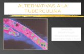 ALTERNATIVAS A LA TUBERCULINA Servei de Microbiologia. Hospital Universitari Germans Trias i Pujol.