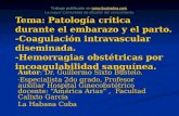 Tema: Patología crítica durante el embarazo y el parto. -Coagulación intravascular diseminada. -Hemorragias obstétricas por incoagulabilidad sanguínea.