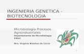 1 INGENIERIA GENETICA - BIOTECNOLOGIA Microbiología Procesos Agroindustriales Departamento de Microbiología FMVZ Dra. Virginia Bolaños de Corzo.