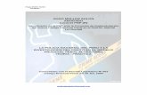 manual sobre investigacion nen el nuevo codigo.pdf