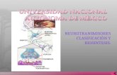 Neurotransmisores y Clasificacion