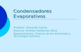 Condensadores Evaporativos Profesor: Eduardo Castro Alumna: Andrea Galdames Silva Departamento: Ciencia de los Alimentos y Tecnología Química.