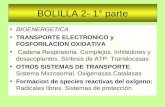 BOLILLA 2- 1° parte BIOENERGETICA TRANSPORTE ELECTRONICO y FOSFORILACION OXIDATIVA Cadena Respiratoria. Complejos. Inhibidores y desacoplantes. Síntesis.