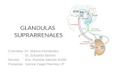 GLANDULAS SUPRARRENALES Coordina: Dr. Marino Fernández Dr. Eduardo Bonnin Revisó: Dra. Pamela Salcido R1MI Presenta: Ivonne Zagal Ramírez IP.