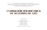 Estimación Volumétrica de Reservas de Gas