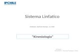 Sistema Linfatico Professor: Verónica Pantoja. Lic. MSP. Kinesiologia IPCHILE - DOCENTE: Veronica Pantoja S. 2012.