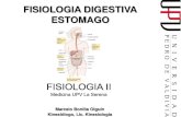 Digestivo - Estomago MED 2011