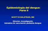 Epidemiología del dengue: Parte II SCOTT B HALSTEAD, MD Director, Investigación Iniciativa de vacunación pediatría dengue.