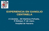 EXPERIENCIA EN GANGLIO CENTINELA A Córdoba, JM Martinez-Peñuela, R Beloqui, P. de Llano. Hospital de Navarra.