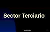 Sector Terciario1. 2 Sector Servicios. Transportes. Turismo. Comercio exterior.
