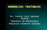 DEMENCIAS TRATABLES Dr. Carlos Luis Sánchez Acosta Servicio de Neurología Hospital Calderón Guardia.