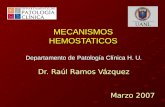 MECANISMOS HEMOSTATICOS Departamento de Patología Clínica H. U. Dr. Raúl Ramos Vázquez Marzo 2007.
