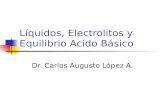 Líquidos, Electrolitos y Equilibrio Acido Básico Dr. Carlos Augusto López A.