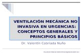 TALLER DE VMNI NO INVASIVA EN URGENCIAS.MAYO 2011 VENTILACIÓN MECÁNICA NO INVASIVA EN URGENCIAS: CONCEPTOS GENERALES Y PRINCIPIOS BÁSICOS Dr. Valentín.