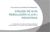 Un proceso asistencial integrado Coordinador: Dr. Alberto Olaizola Mendibil Responsable: Dr. Plácido López Álvarez-Buhilla.