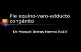 Pie equino-varo-adducto congénito Dr Manuel Testas Hermo R4OT.