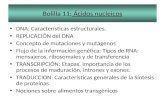 Bolilla 11: Ácidos nucleicos DNA: Características estructurales. REPLICACIÓN del DNA Concepto de mutaciones y mutágenos Flujo de la información genética: